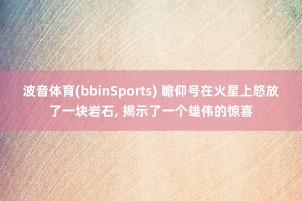 波音体育(bbinSports) 瞻仰号在火星上怒放了一块岩石， 揭示了一个雄伟的惊喜