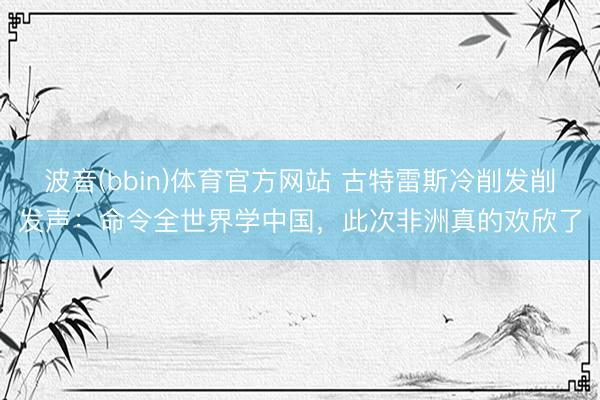 波音(bbin)体育官方网站 古特雷斯冷削发削发声：命令全世界学中国，此次非洲真的欢欣了