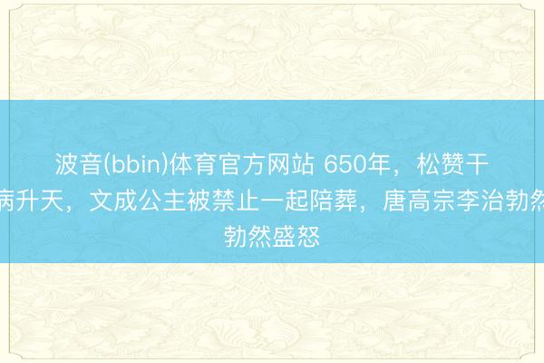 波音(bbin)体育官方网站 650年，松赞干布因病升天，文成公主被禁止一起陪葬，唐高宗李治勃然盛怒