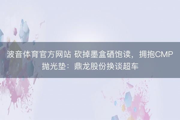 波音体育官方网站 砍掉墨盒硒饱读，拥抱CMP抛光垫：鼎龙股份换谈超车