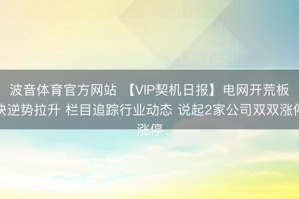 波音体育官方网站 【VIP契机日报】电网开荒板块逆势拉升 栏目追踪行业动态 说起2家公司双双涨停