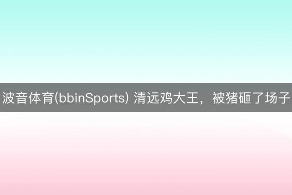 波音体育(bbinSports) 清远鸡大王，被猪砸了场子