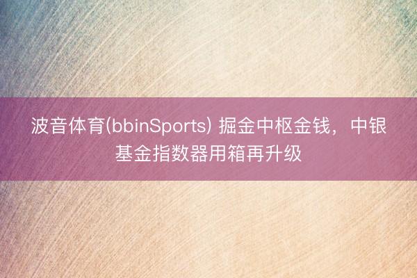 波音体育(bbinSports) 掘金中枢金钱，中银基金指数器用箱再升级