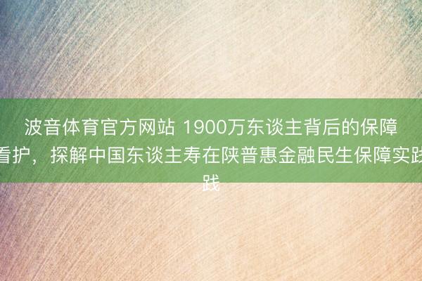 波音体育官方网站 1900万东谈主背后的保障看护，探解中国东谈主寿在陕普惠金融民生保障实践