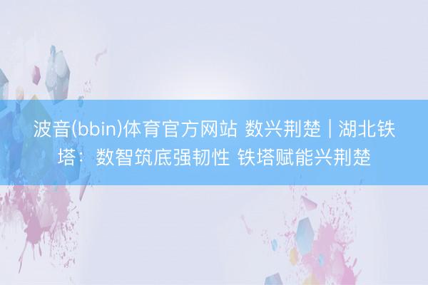 波音(bbin)体育官方网站 数兴荆楚 | 湖北铁塔：数智筑底强韧性 铁塔赋能兴荆楚