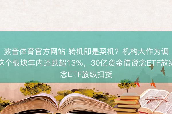 波音体育官方网站 转机即是契机？机构大作为调仓，这个板块年内还跌超13%，30亿资金借说念ETF放纵扫货