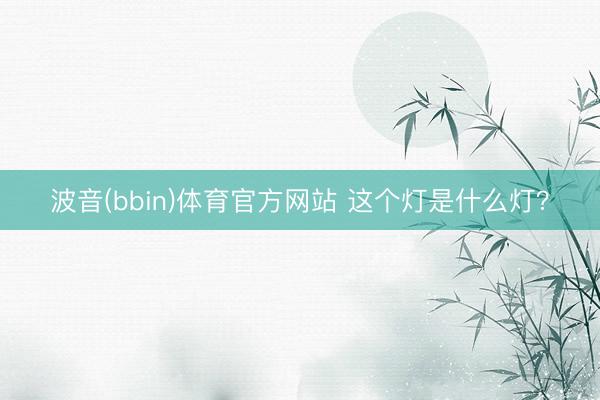 波音(bbin)体育官方网站 这个灯是什么灯？