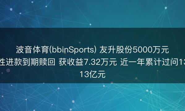 波音体育(bbinSports) 友升股份5000万元结构性进款到期赎回 获收益7.32万元 近一年累计过问13亿元
