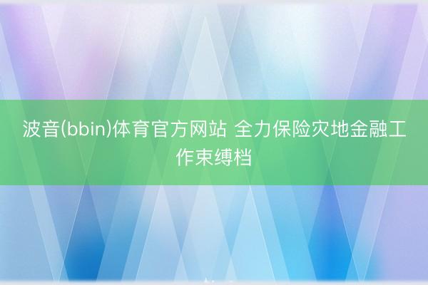 波音(bbin)体育官方网站 全力保险灾地金融工作束缚档